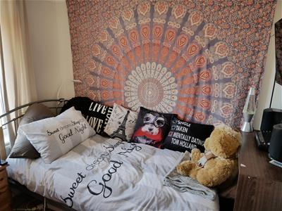 Picture 7